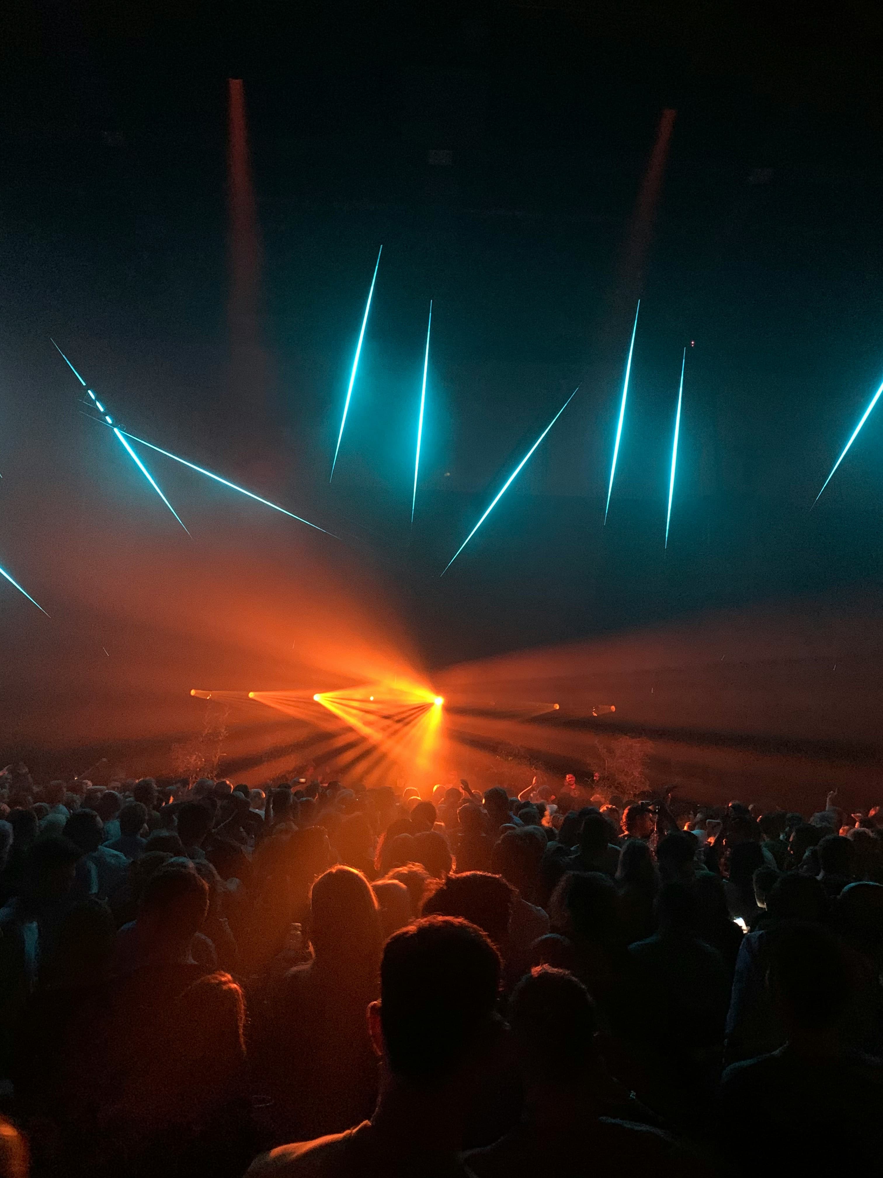 crowd music concert lights